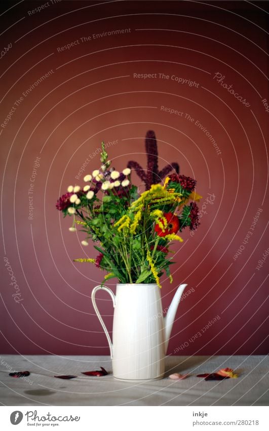 Wiesenblumen-Stillleben Häusliches Leben Dekoration & Verzierung Tisch Tapete Valentinstag Muttertag Erntedankfest Hochzeit Geburtstag Blume Mauer Wand