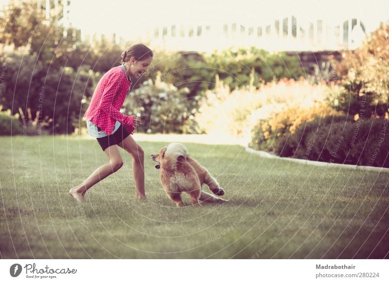 fröhliche Kindheit Freude feminin Mädchen 1 Mensch 8-13 Jahre Gras Garten Haustier Hund Tier laufen Spielen toben lustig natürlich niedlich schön Fröhlichkeit