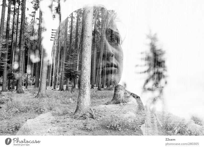 melancholie Mensch feminin Umwelt Natur Landschaft Baum Wald Schal blond langhaarig Denken träumen Traurigkeit dunkel schön Krankheit trist Schmerz Einsamkeit