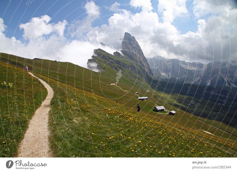 Seceda mit Geislerspitzen Mensch Natur Landschaft Pflanze Wolken Blume Gras Wiese Hügel Felsen Alpen Berge u. Gebirge Gipfel Wege & Pfade Blühend Erholung