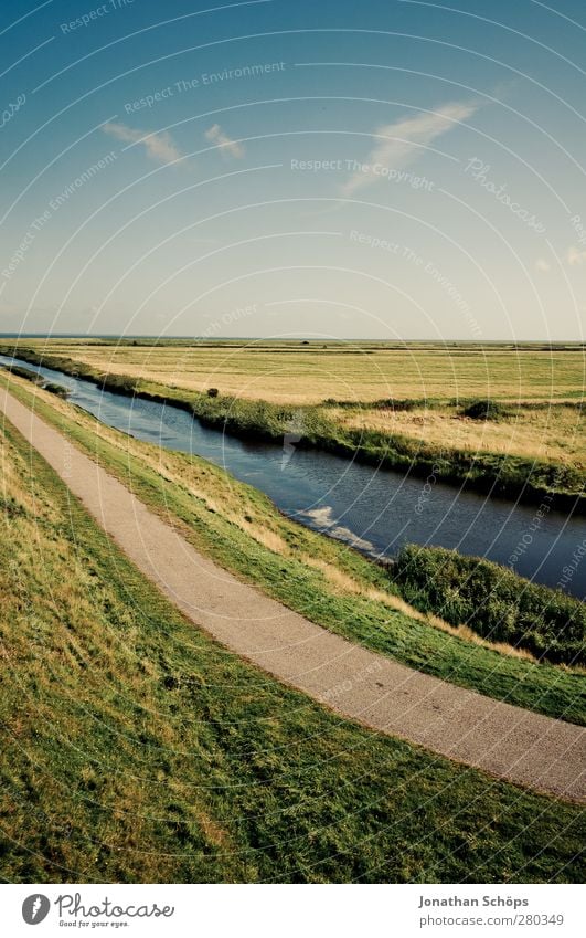 Weg—Fluss—Feld Freiheit Fahrradtour Umwelt Natur Landschaft Sommer Schönes Wetter blau grün ländlich Wege & Pfade Wiese Idylle Horizont Reisefotografie