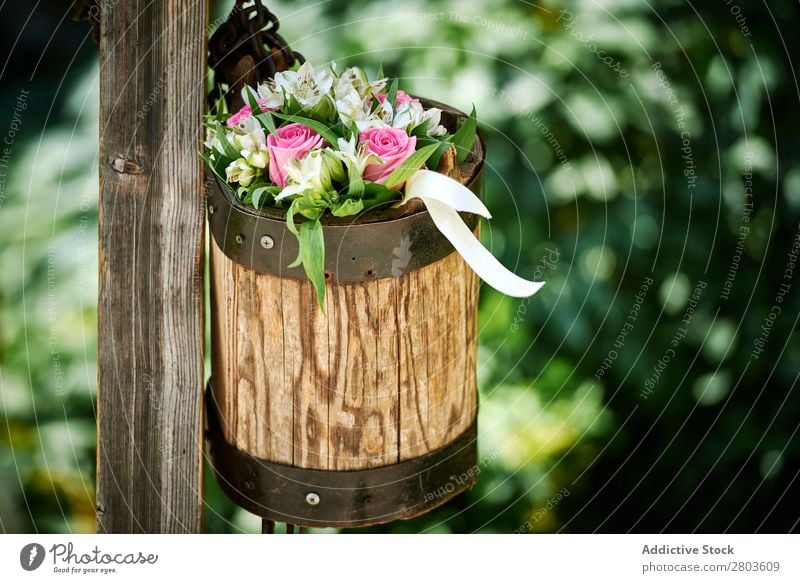 Schöner Strauß im Holztopf Blume Topf Garten Pfosten Blumenstrauß Natur Pflanze Sommer Dekor Design Rose Haufen Holzstapel Nutzholz Sonnenstrahlen Tag Blüte