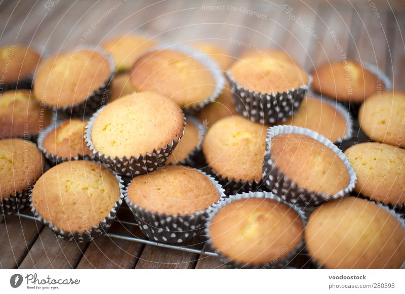 Party Kuchen Backen Dessert frisch klein Konfekt kühlen Küche kulinarisch Cupcake Lebensmittel selbstgebacken einzeln viele Ablage Snack Hundefutter schmucklos