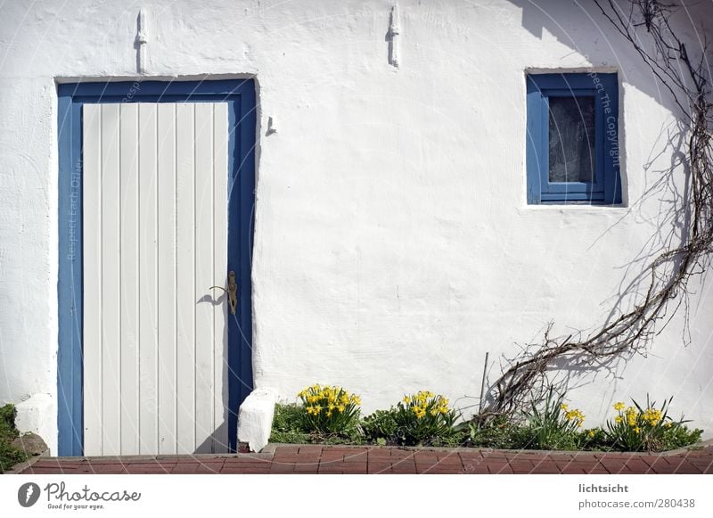 home Sommer Schönes Wetter Blume Garten Dorf Menschenleer Haus Traumhaus Hütte Mauer Wand Fassade Terrasse Fenster Tür blau weiß Idylle gemütlich Fensterrahmen