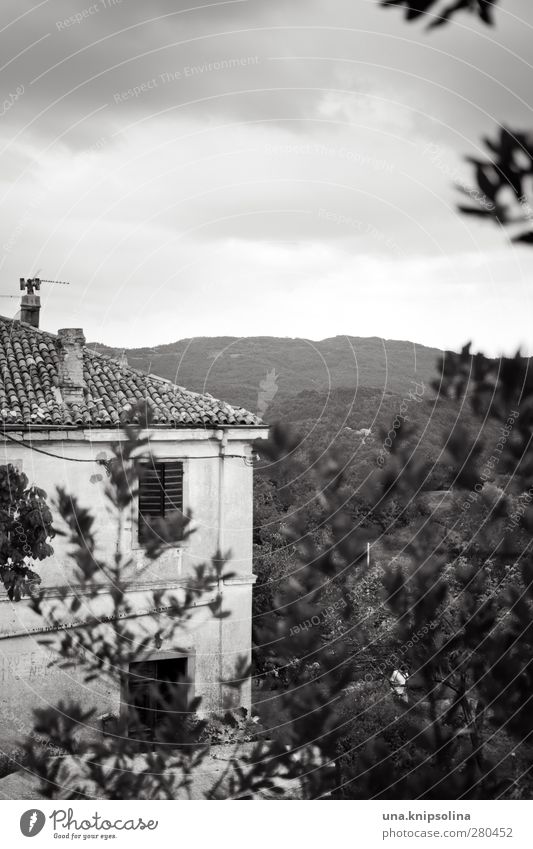 villa Umwelt Landschaft Wolken Baum Blatt Berge u. Gebirge Hum Kroatien Haus Einfamilienhaus Traumhaus Bauwerk Gebäude Fassade Fenster alt eckig Idylle