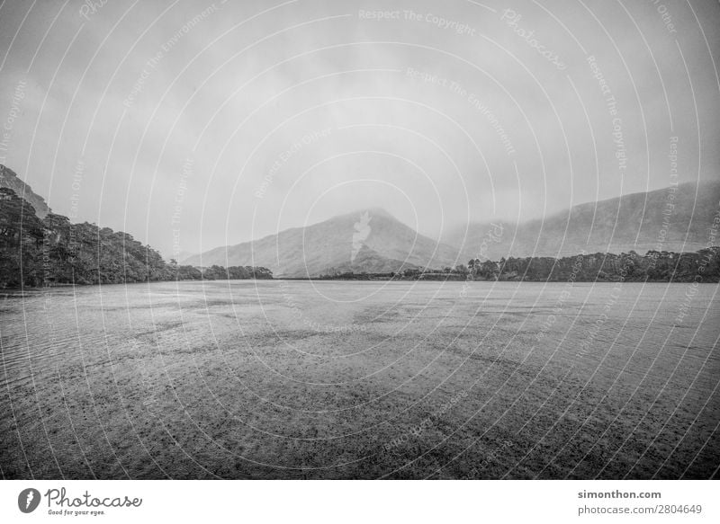 See Umwelt Natur Landschaft Tier Luft Wasser Himmel Wolken Gewitterwolken schlechtes Wetter Unwetter Sturm Nebel Regen Hügel Berge u. Gebirge Küste Seeufer