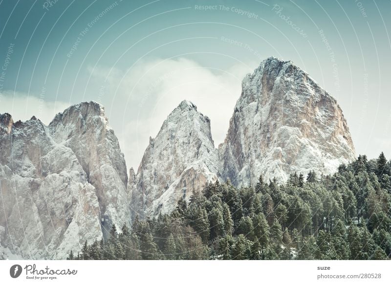 Stille Riesen Ferien & Urlaub & Reisen Winter Schnee Berge u. Gebirge Umwelt Natur Landschaft Urelemente Himmel Wolken Frühling Klima Schönes Wetter Wald Alpen