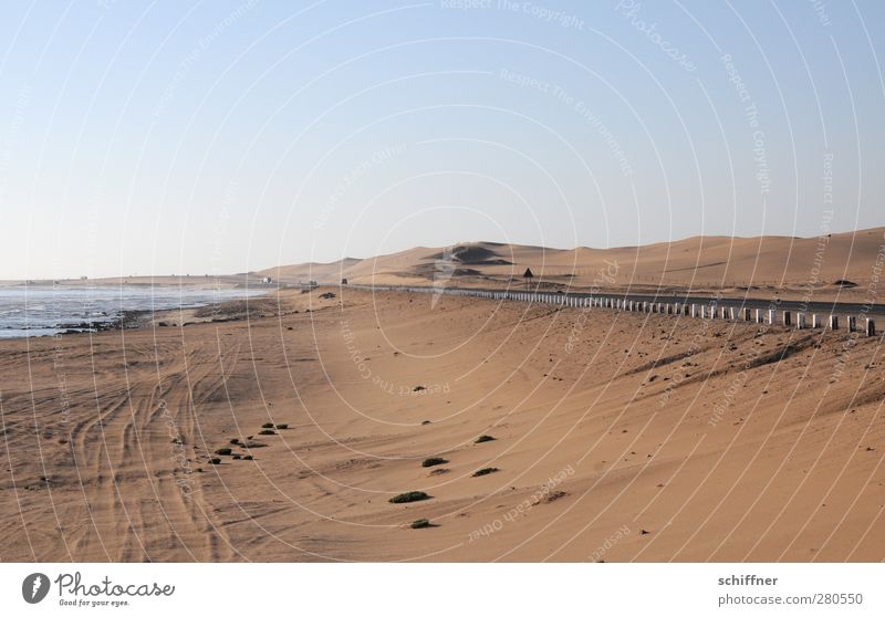 Highway to hell Umwelt Landschaft Wolkenloser Himmel Schönes Wetter Wärme Dürre Küste Meer Wüste Verkehrswege Straße außergewöhnlich Unendlichkeit trist trocken