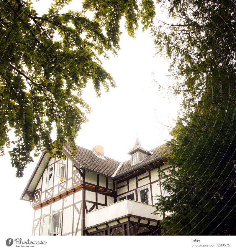 Unser Haus, Lifestyle Reichtum Häusliches Leben Traumhaus Fachwerkhaus Fachwerkfassade Frühling Sommer Schönes Wetter Baum Garten Park Stadtrand Menschenleer