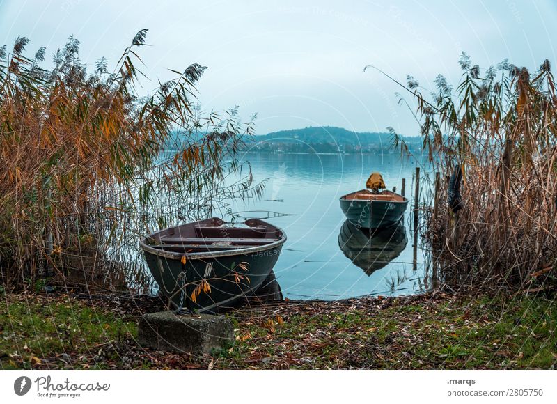 Ankunft Ferien & Urlaub & Reisen Tourismus Landschaft Herbst Schilfrohr Seeufer Bodensee Bootsfahrt Ruderboot Stimmung Idylle ruhig Horizont Farbfoto