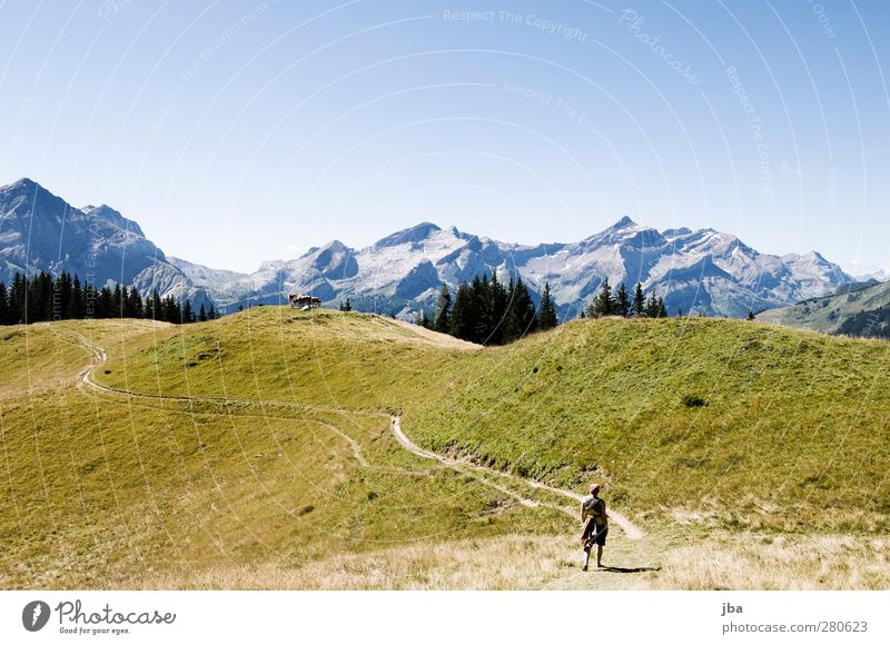 auf der Wispile II Leben Wohlgefühl Erholung ruhig Ausflug Freiheit Sommer Berge u. Gebirge wandern Natur Landschaft Urelemente Wolkenloser Himmel Herbst