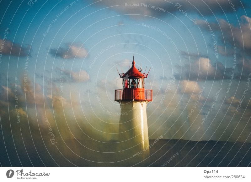 Leuchtturm Umwelt Natur Landschaft Pflanze Tier Himmel Wolken Sommer Klima Wetter Schönes Wetter Gras Sträucher Grünpflanze Küste Strand Nordsee Insel