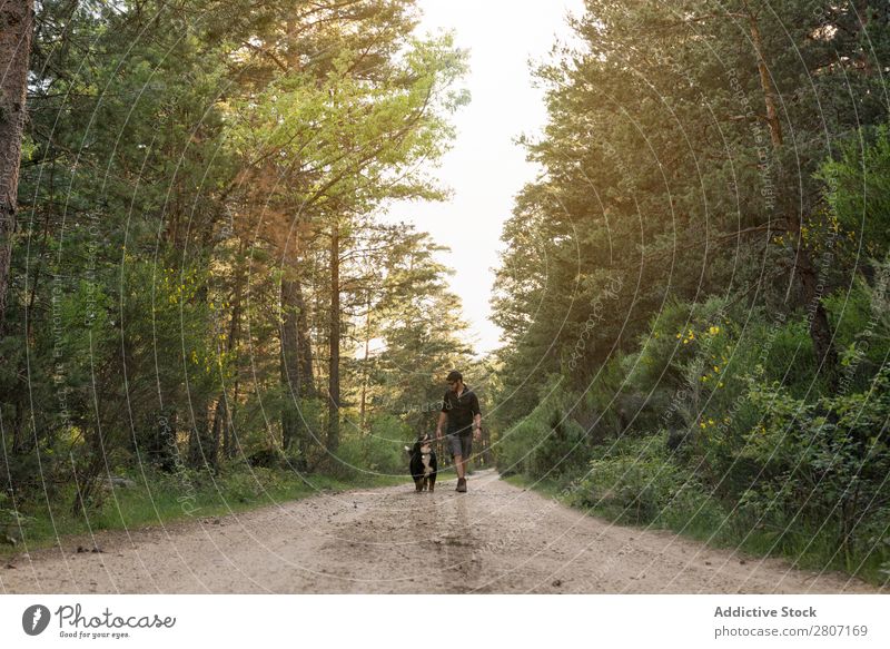 Abenteurer mit seinem Hund im Wald an einem sonnigen Frühlingstag. Natur laufen Berge u. Gebirge Trekking Mensch Jugendliche Sonnenstrahlen wandern Park schön