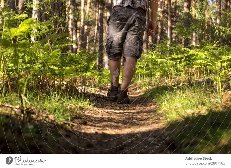 Abenteuerlustiger Mann im Wald an einem sonnigen Frühlingstag Natur laufen Berge u. Gebirge Trekking Mensch Jugendliche Sonnenstrahlen wandern Park schön