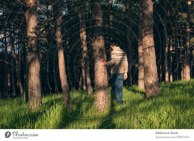 Junger Mann im Wald genießt einen sonnigen Nachmittag. Gras Park Kiefern Frühling Lifestyle Tag Natur grün Mensch Hintergrundbild Sonne Gelassenheit Freiheit