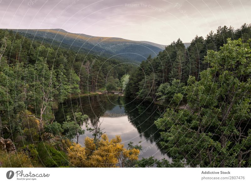 Erstaunlicher Sonnenaufgang an einem Bergsee in Rascafria, Madrid. Spanien See Berge u. Gebirge Natur Landschaft Wald Himmel Wasser Fluss Sommer Hintergrundbild