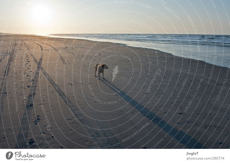 geburtstagswetter [jinglet & andere?] Ferien & Urlaub & Reisen Ausflug Abenteuer Ferne Freiheit Strand Meer Insel Wellen Umwelt Natur Landschaft Sand Luft