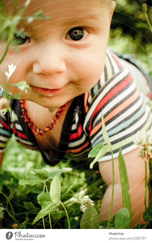 Kleiner Entdecker maskulin Baby Körper Kopf 1 Mensch 0-12 Monate beobachten entdecken krabbeln lernen Freundlichkeit Lebensfreude Begeisterung Geborgenheit