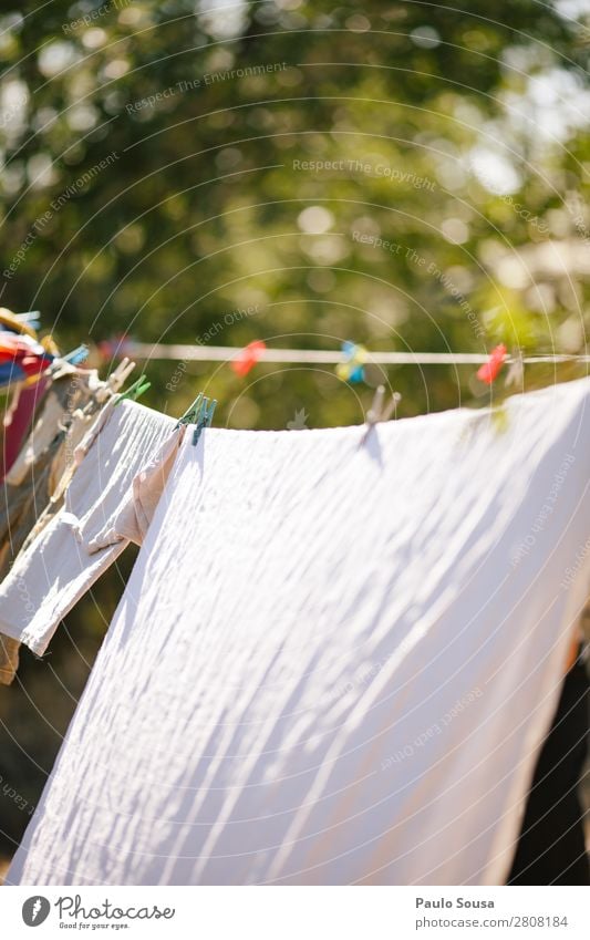 Nahaufnahme von an der Wäscheleine hängender Kleidung farbenfroh Farbe Frühling Bekleidung erhängen Sauberkeit Hintergrund Natur grün natürlich Sommer Lifestyle