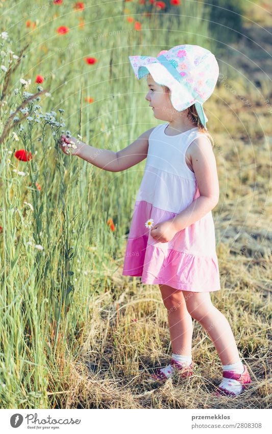 Schönes kleines Mädchen auf dem Feld der Wildblumen. Lifestyle Freude Glück schön Sommer Garten Kind Mensch Frau Erwachsene Eltern Mutter