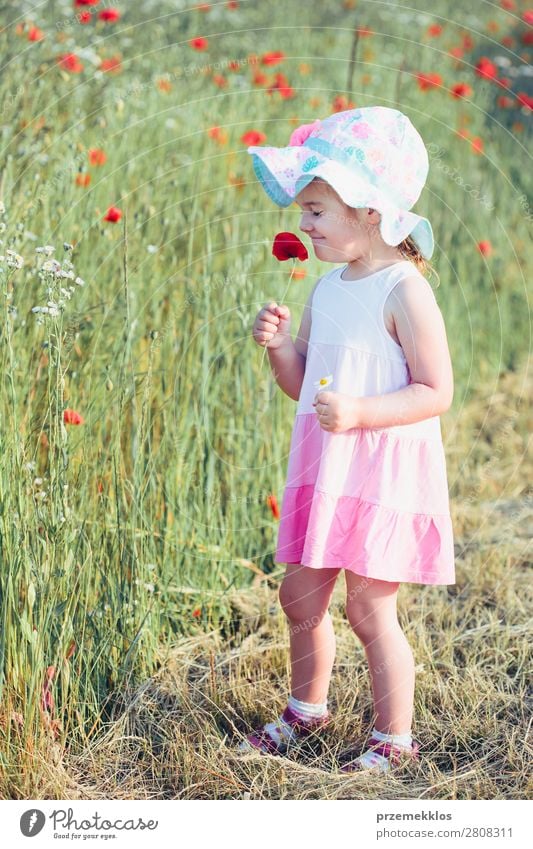 Schönes kleines Mädchen auf dem Feld der Wildblumen. Lifestyle Freude Glück schön Sommer Garten Kind Mensch Frau Erwachsene Eltern Mutter