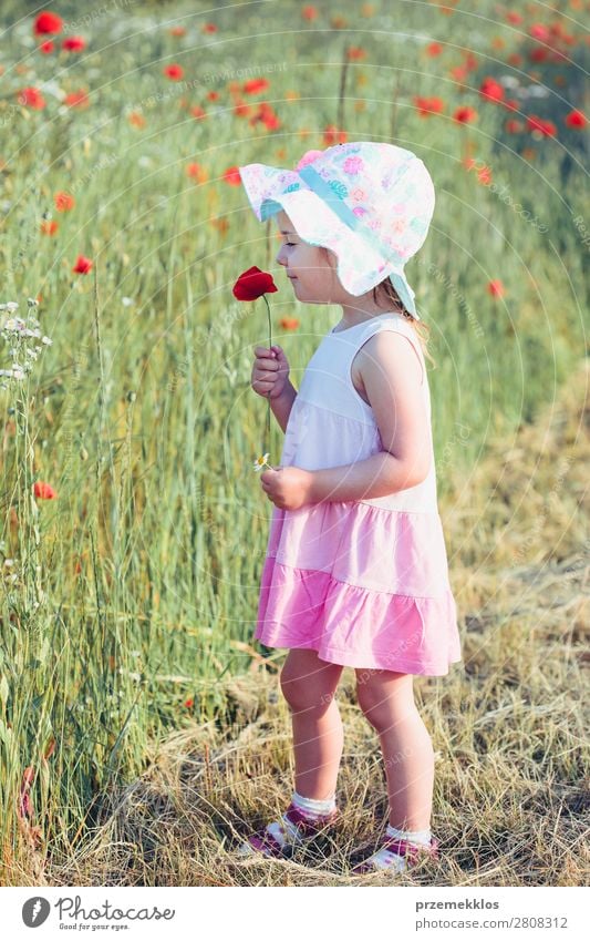 Schönes kleines Mädchen auf dem Feld der Wildblumen. Lifestyle Freude Glück schön Sommer Garten Kind Mensch Frau Erwachsene Eltern Mutter