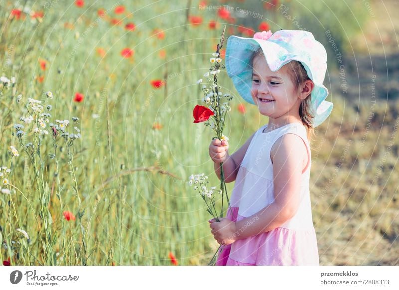 Schönes kleines Mädchen auf dem Feld der Wildblumen. Lifestyle Freude Glück schön Sommer Garten Kind Mensch Frau Erwachsene Eltern Mutter