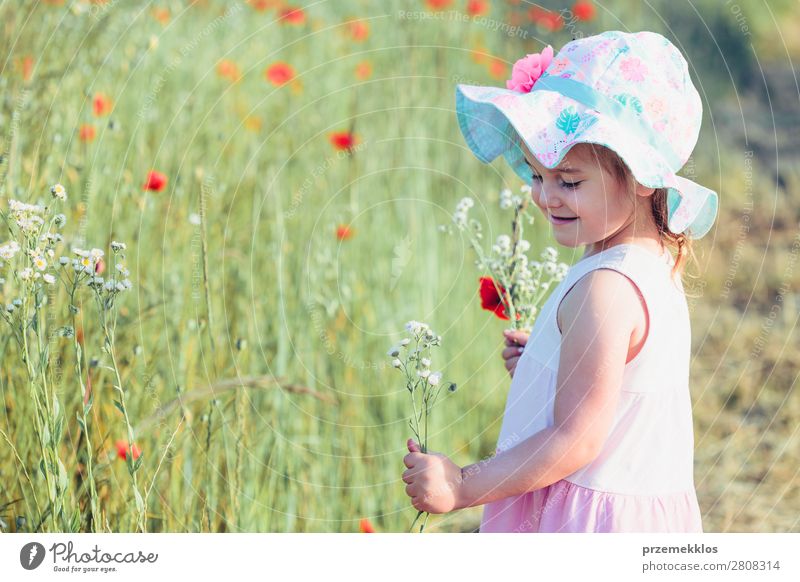 Schönes kleines Mädchen auf dem Feld der Wildblumen. Lifestyle Freude Glück schön Sommer Garten Kind Mensch Frau Erwachsene Eltern Mutter