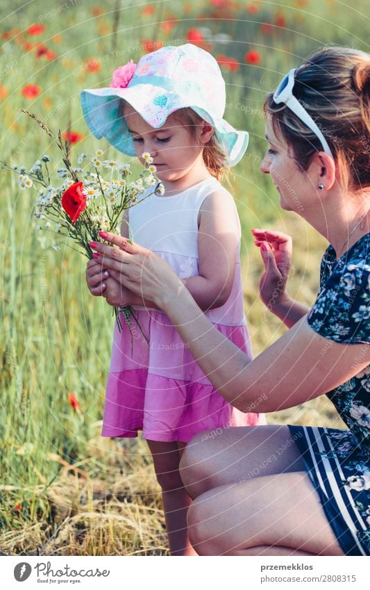 Mutter und ihre kleine Tochter auf dem Feld der Wildblumen Lifestyle Freude Glück schön Sommer Garten Kind Mensch Frau Erwachsene Eltern