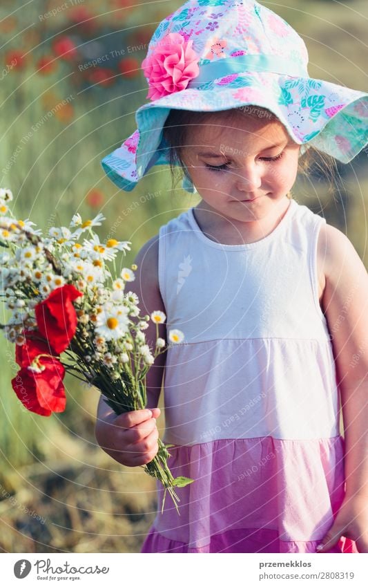 Schönes kleines Mädchen auf dem Feld der Wildblumen. Lifestyle Freude Glück schön Sommer Garten Kind Mensch Frau Erwachsene Eltern Mutter