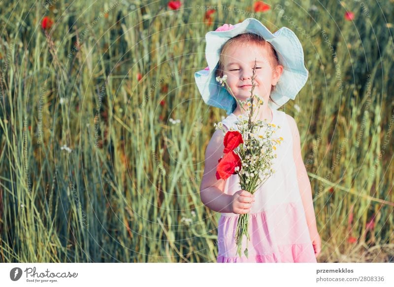 Schönes kleines Mädchen auf dem Feld der Wildblumen. Lifestyle Freude Glück schön Sommer Garten Kind Mensch Frau Erwachsene Eltern Mutter