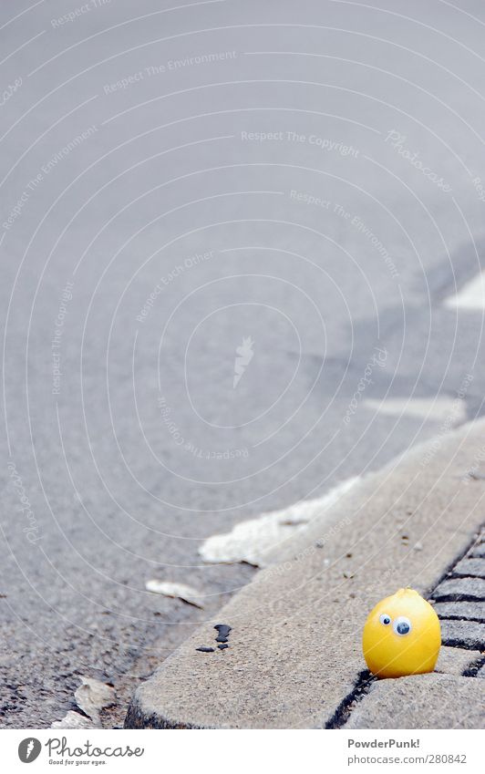 Ein Lichter Moment München Deutschland Stadt Menschenleer Verkehrswege Autofahren Straße Wege & Pfade Fahrzeug Stein Beton Gefühle Stimmung Angst Beginn