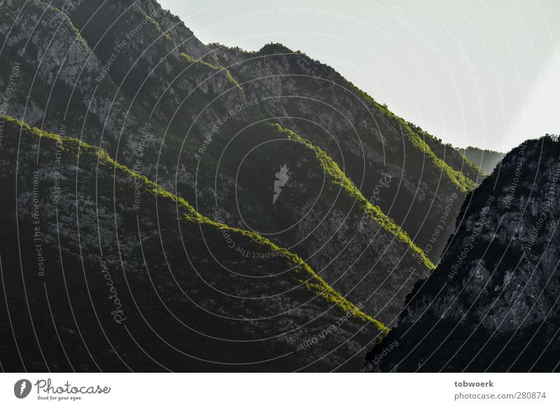 Grüngipfelbergtreppe Natur Landschaft Pflanze Grünpflanze Wald Felsen Berge u. Gebirge Stein dunkel grün Perspektive Symmetrie Wege & Pfade Italien Gardasee