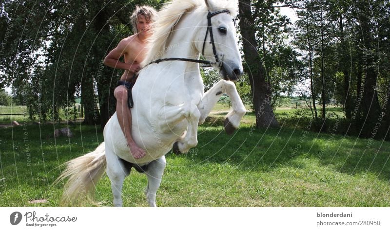 "Birk Borkason" Freude Glück sportlich Freizeit & Hobby Reiten Abenteuer Sonne Reitsport maskulin Junger Mann Jugendliche Körper Natur Sommer Sträucher Wiese