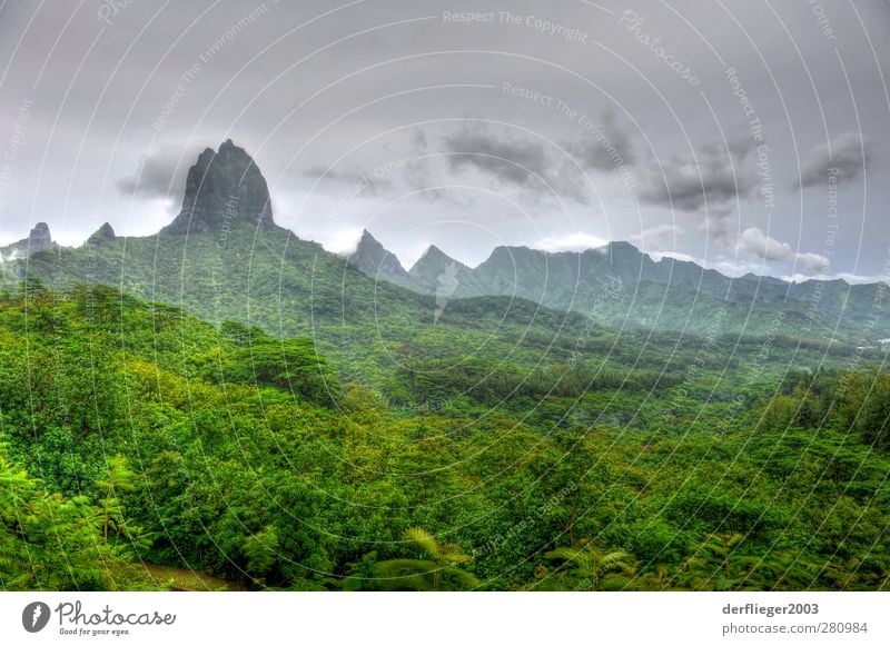 Landscape in Moorea, French Polynesia Natur Landschaft Hügel Felsen einzigartig Day Holiday Island Landscapes the south seas tonemapped Vacation Farbfoto