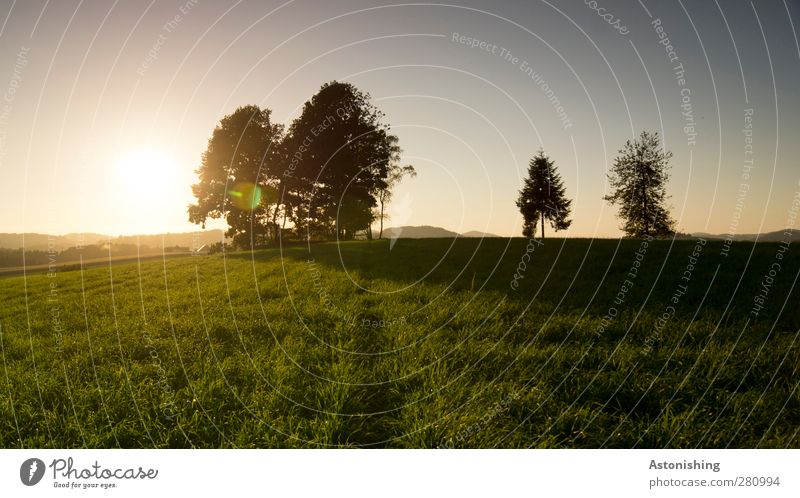 2 im Abseits! Umwelt Natur Landschaft Pflanze Erde Himmel Wolkenloser Himmel Sonne Sonnenaufgang Sonnenuntergang Sonnenlicht Sommer Wetter Schönes Wetter Wärme