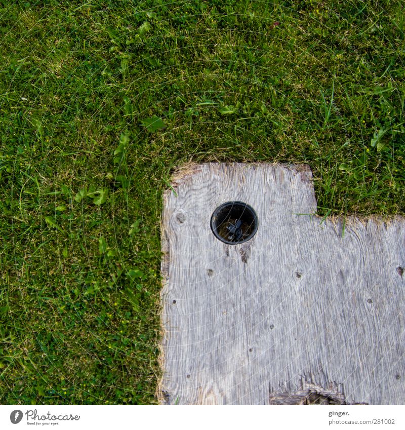 Loch im Holz auf Rasen Wiese braun grau grün senken Holzbrett verankern Konstruktion Halterung Ecke Farbfoto Gedeckte Farben Außenaufnahme Muster