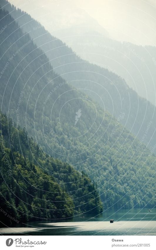 Königsee Natur Landschaft Wasser Baum Wald Alpen Berge u. Gebirge Berchtesgadener Alpen Berchtesgadener Land Seeufer Königssee Berghang Denken Nebel Staffelung