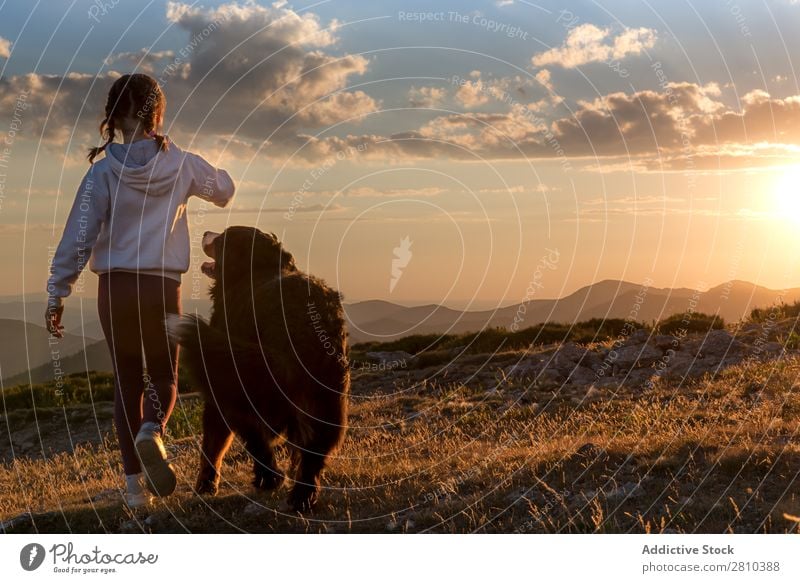 Schönes kleines Mädchen und ihr Hund spielen bei Sonnenuntergang zusammen. Glück groß grün Liebe Haustier Jugendliche Gras Zusammensein Kind Landschaft