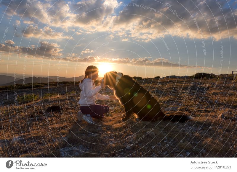 Schönes kleines Mädchen und ihr Hund spielen bei Sonnenuntergang zusammen. Glück groß grün Liebe Haustier Jugendliche Gras Zusammensein Kind Landschaft