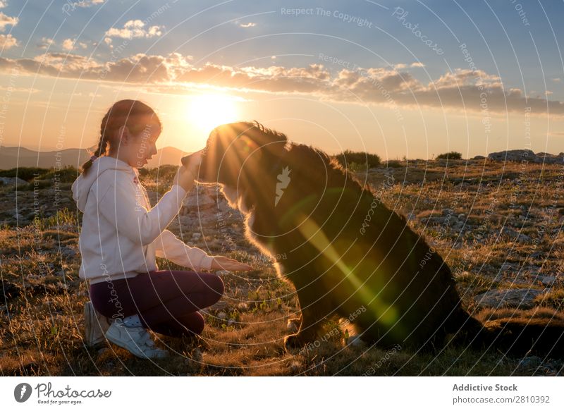 Schönes kleines Mädchen und ihr Hund spielen bei Sonnenuntergang zusammen. Glück groß grün Liebe Haustier Jugendliche Gras Zusammensein Kind Landschaft