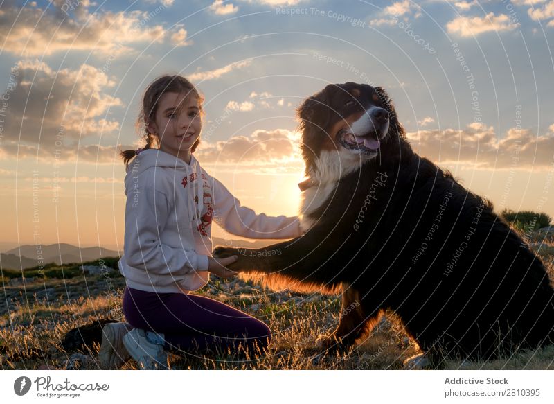 Schönes kleines Mädchen und ihr Hund spielen bei Sonnenuntergang zusammen. Glück groß grün Liebe Haustier Jugendliche Gras Zusammensein Kind Landschaft