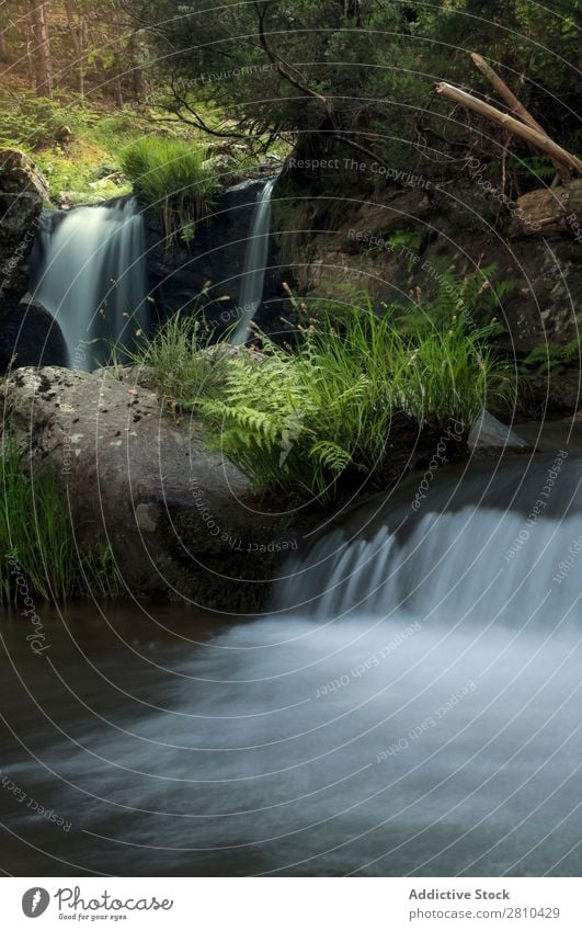 Schöner Wasserfall im Wald Moos Landschaft Stein Phantasie grün Natur dunkel Felsen Fluss Sonne weiß natürlich frisch Baum Außenaufnahme wild Blatt nass Sommer