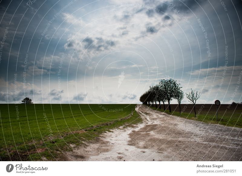 Sein (und) Lassen Umwelt Natur Landschaft Erde Himmel Wolken Horizont Sonne Wetter Schönes Wetter schlechtes Wetter Regen Baum Feld Baumreihe Wege & Pfade