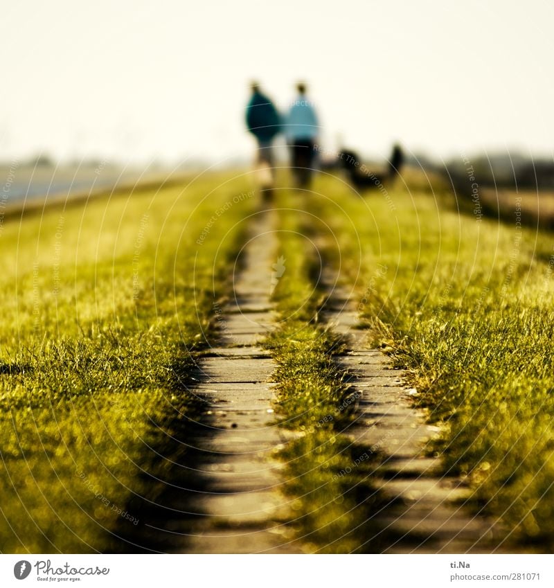 Gipfelweg Paar Natur Landschaft Himmel Horizont Schönes Wetter Küste Nordsee Erholung laufen wandern natürlich blau gelb grün Schutz Tourismus Wege & Pfade