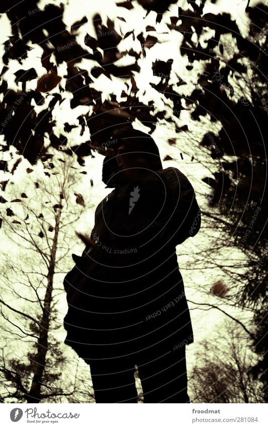 herbstschatten Mensch feminin Junge Frau Jugendliche Erwachsene 1 Natur Herbst schlechtes Wetter Baum Blatt Wald dreckig kalt trist Unlust Einsamkeit träumen