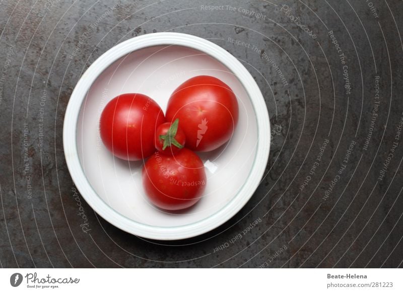 Tomaten! Salat! Humppa! Lebensmittel Gemüse Ernährung Mittagessen Abendessen Bioprodukte Vegetarische Ernährung Schalen & Schüsseln Natur Pflanze Nutzpflanze