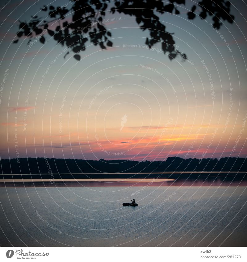 Alle Zeit der Welt Mann Erwachsene 1 Mensch Umwelt Natur Landschaft Wasser Himmel Horizont Klima Wetter Schönes Wetter Pflanze Baum Blatt Zweige u. Äste Wald