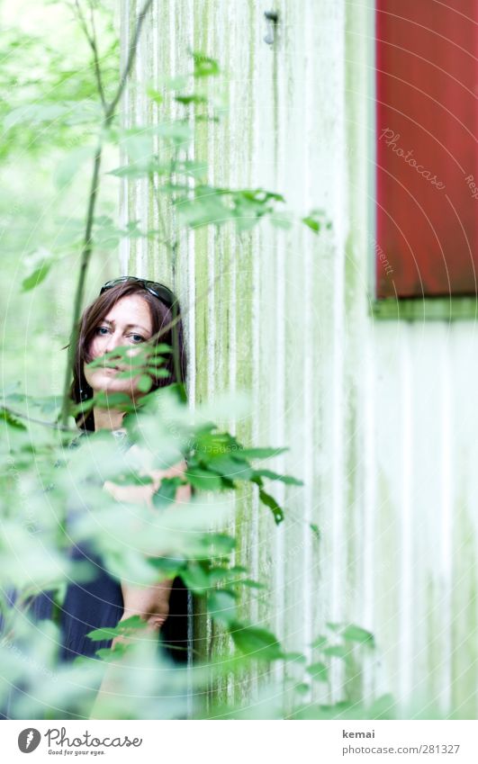 Es grünt so grün Mensch feminin Frau Erwachsene Leben Kopf Arme 1 30-45 Jahre Umwelt Natur Pflanze Baum Blatt Grünpflanze Wald Fenster Holzwand Sonnenbrille