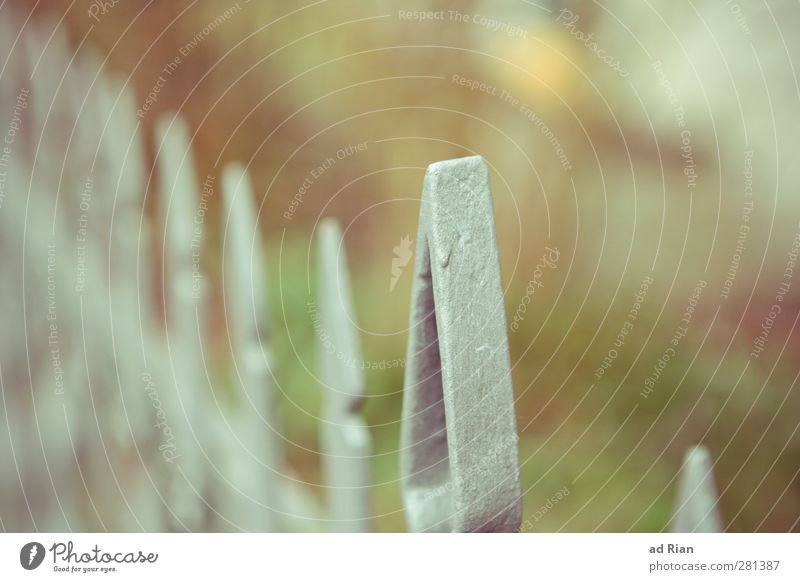 abgrenzung Garten Natur Park Wiese Zaun Zaunpfahl ästhetisch Farbfoto Außenaufnahme Textfreiraum oben Tag Silhouette Schwache Tiefenschärfe Totale